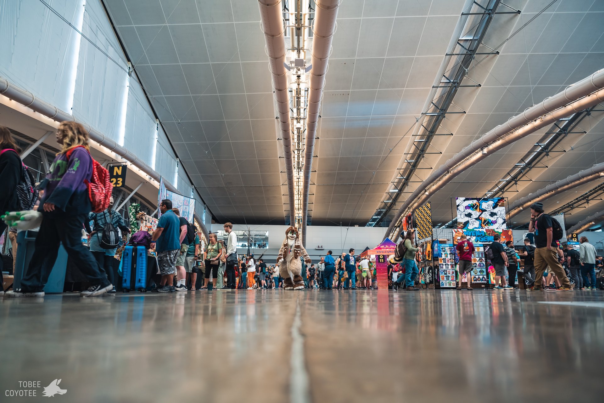 2024 Tobee 20240705_121442.jpg